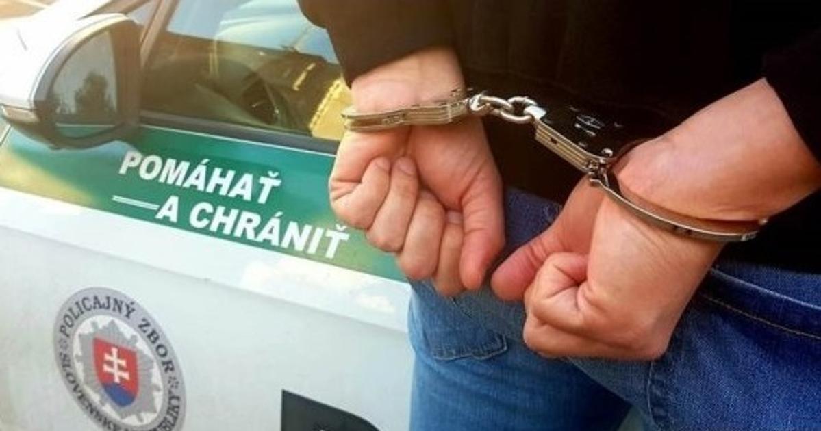 Siedmich obvinených z&nbsp;akcie Merkúr prepustili na slobodu