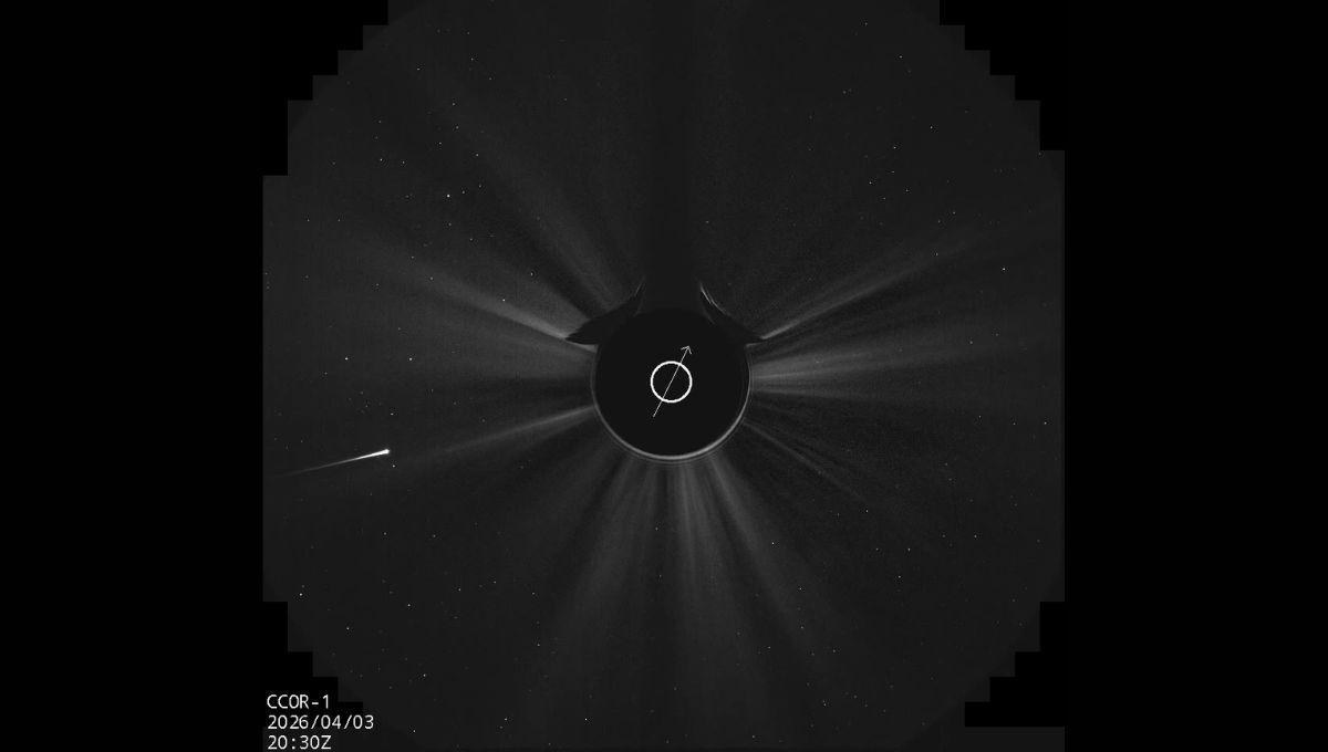 Veľkonočná denná kométa C/2026 A1 (MAPS) neprežila prelet okolo Slnka