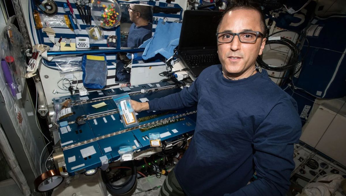 Ako mení pobyt vo vesmíre imunitu človeka?